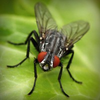 /album/bobstabawal/photolia-a01-jpg/