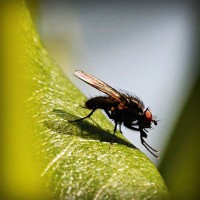 /album/bobstabawal/photolia-a04-jpg/