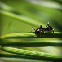 /album/bobstabawal/photolia-a05-jpg/