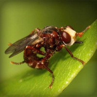 /album/bobstabawal/photolia-a06-jpg/