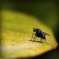 /album/bobstabawal/photolia-a07-jpg/